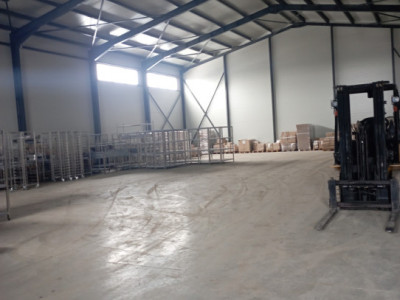 Spatii industriale de inchiriat Cernica imagine mica 6