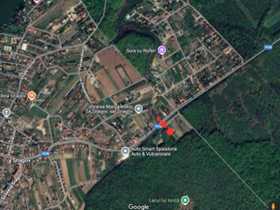 Terenuri de vanzare Snagov imagine mica 3