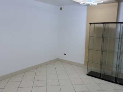 Apartamente de inchiriat Bucuresti Kiseleff imagine mica 6