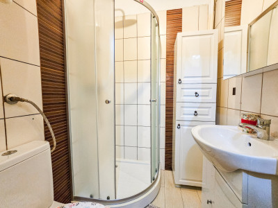 Apartamente de vanzare Bucuresti Mosilor imagine mica 9