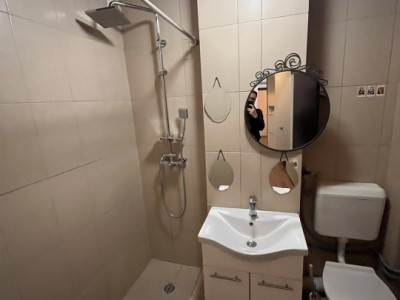 Apartamente de inchiriat Bucuresti Banu Manta imagine mica 9