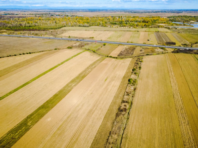Terenuri de vanzare Uliesti Nord-Est imagine mica 3