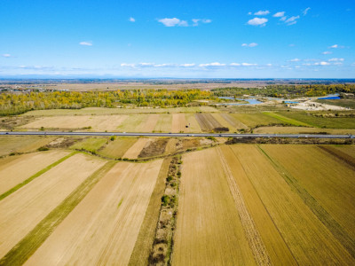 Terenuri de vanzare Uliesti Nord-Est imagine mica 4