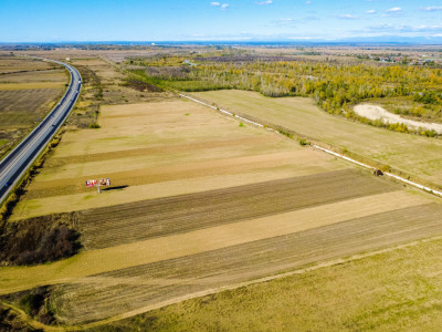 Terenuri de vanzare Uliesti Nord-Est imagine mica 9