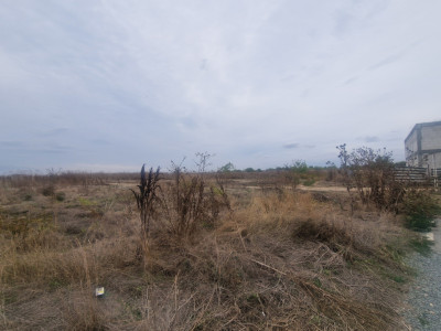 Terenuri de vanzare Vama Veche Central imagine mica 2