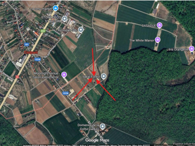 Terenuri de vanzare Ciolpani Est imagine mica 3