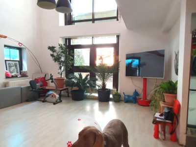 Case de vanzare Bucuresti Antiaeriana imagine mica 7