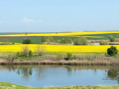 Terenuri de vanzare Gostilele Central imagine mica 2