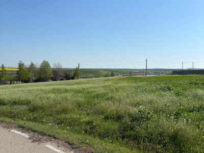 Terenuri de vanzare Gostilele Central imagine mica 5