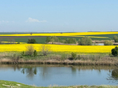 Terenuri de vanzare Gostilele Central imagine mica 13