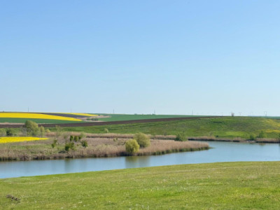 Terenuri de vanzare Gostilele Central imagine mica 14