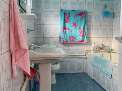 Case de vanzare Branesti Central imagine mica 20