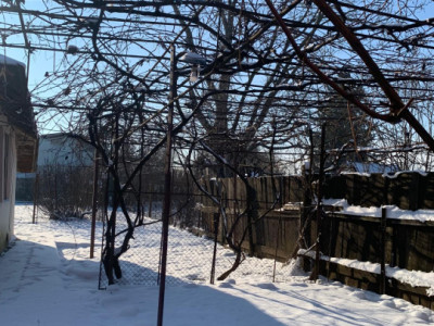 Case de vanzare Branesti Central imagine mica 25