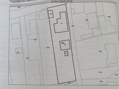 Case de vanzare Branesti Central imagine mica 29