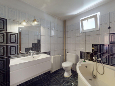 Case de inchiriat Bucuresti Prelungirea Ghencea imagine mica 21