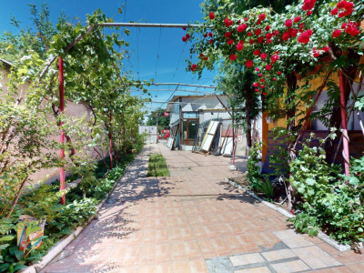 Case de inchiriat Bucuresti Prelungirea Ghencea imagine mica 33