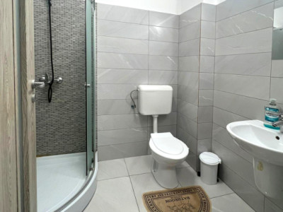 Apartamente de inchiriat Bragadiru Haliu imagine mica 9