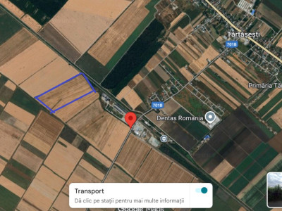 Terenuri de vanzare Ciocanesti imagine mica 4