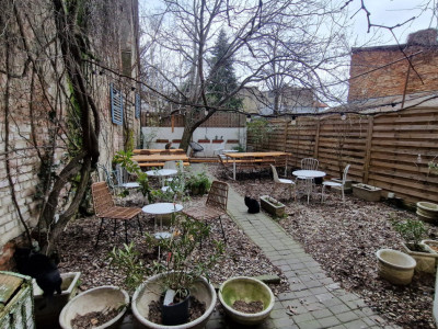 Case de inchiriat Bucuresti Cismigiu imagine mica 6