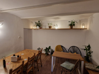 Case de inchiriat Bucuresti Cismigiu imagine mica 13