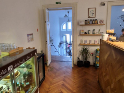 Case de inchiriat Bucuresti Cismigiu imagine mica 17