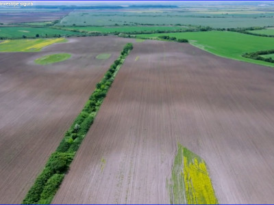 Terenuri de vanzare Crevedia Exterior Nord imagine mica 3