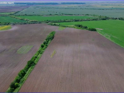 Terenuri de vanzare Crevedia Exterior Nord imagine mica 4