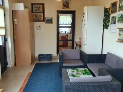 Case de vanzare Ghermanesti imagine mica 7