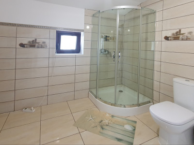 Case de vanzare Ghermanesti imagine mica 12