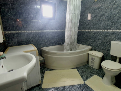 Case de vanzare Ghermanesti imagine mica 13