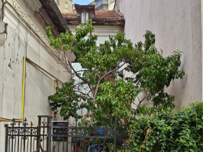 De vanzare 2 camere in vila interbelica, curte comuna zona Armeneasca 
